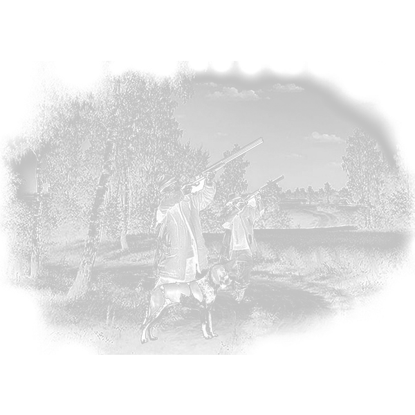 Конструктор памятников